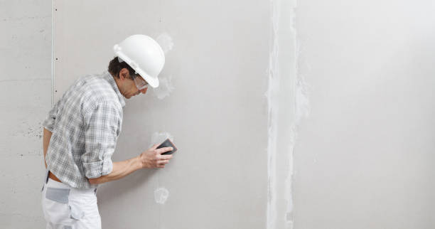 Best Black Mold Removal  in Alameda, CA