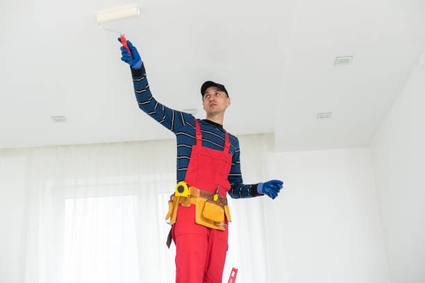 Best Mold Odor Removal Services  in Alameda, CA